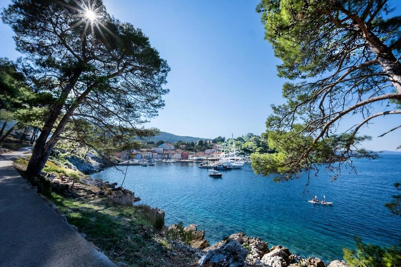 Apartment Carmen Veli Losinj 0*,  Croatia