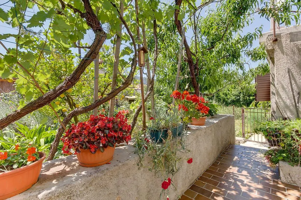 Apartment Carmen Veli Losinj